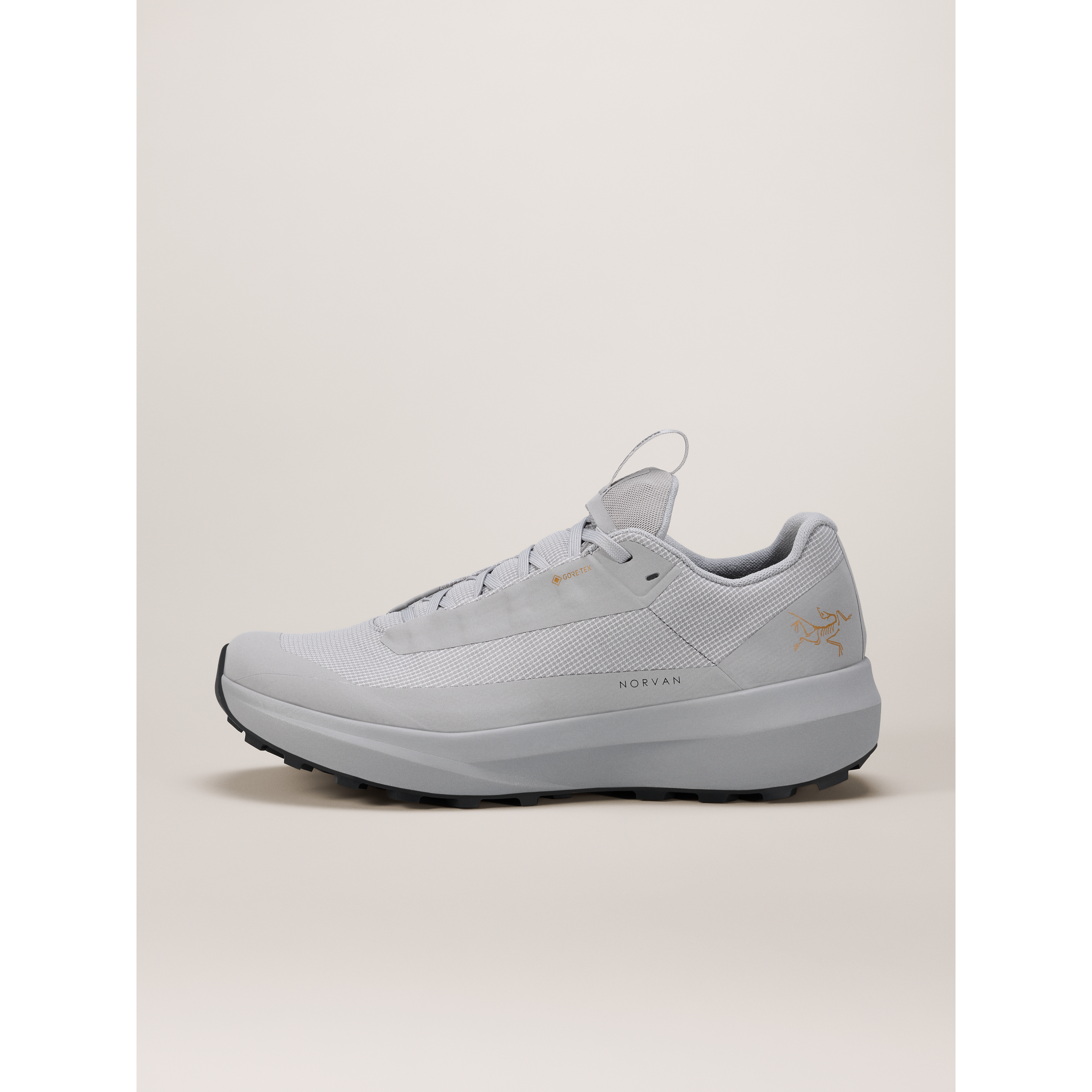 Women's Norvan LD 4 GTX in Dk Solitude/Dk Solitude