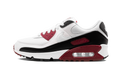 Air Max 90 "Recraft New Maroon" CT4352 104