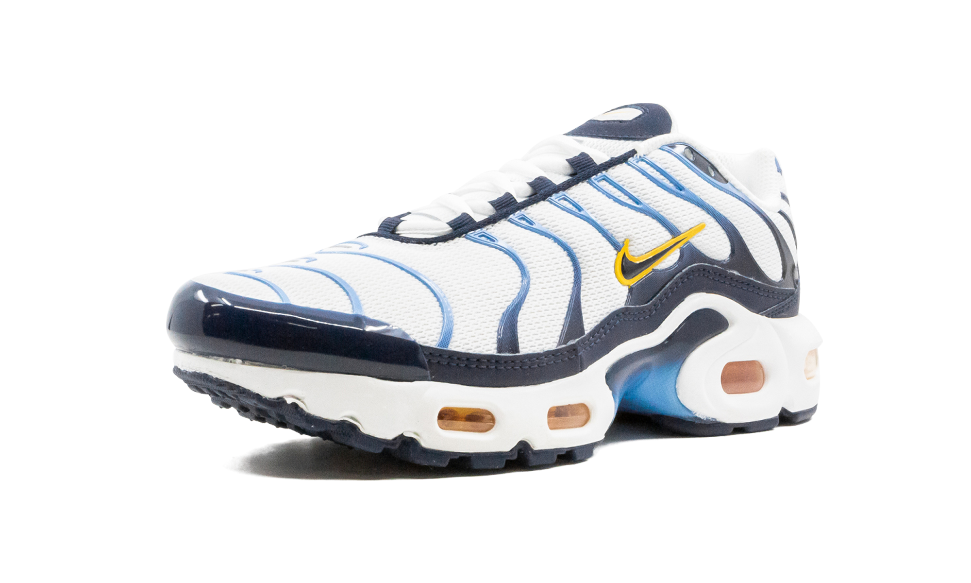 Air Max Plus CD0609 100