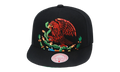 Branded Cropped Eagle Snapback Cap "Mexican Flag - Black" 6HSSTD17420 MNNBLCK
