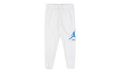 Jordan Essentials BAseline Jogger Pants "White / Blue" FD7345-100