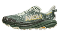 Speedgoat 6 GTX "Sea Glass Fern" 1155150 SFRN