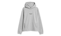 Places We Love Hoodie "Seven Summits - TNF Pale Grey Heather" NF0A8JEKCQO