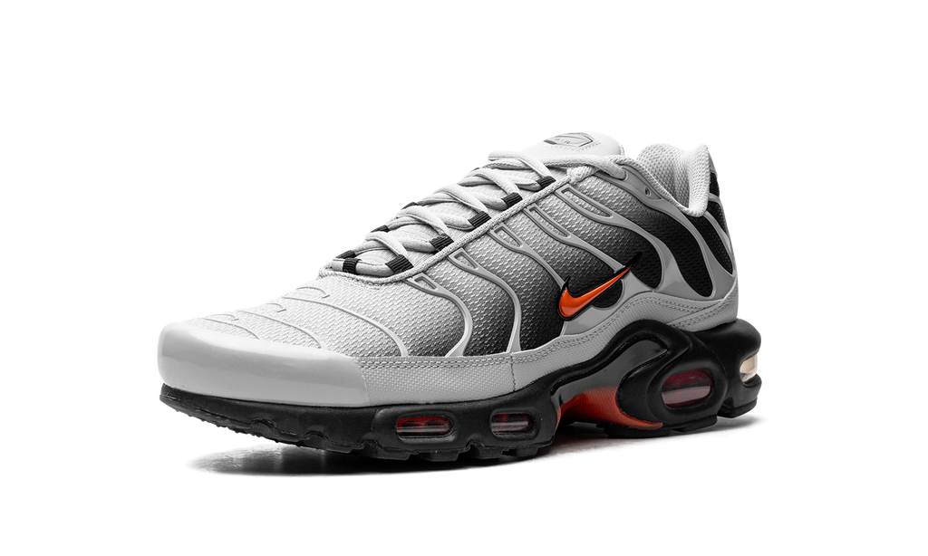 Air Max Plus "Wolf Grey Picante Red" DM0032 011
