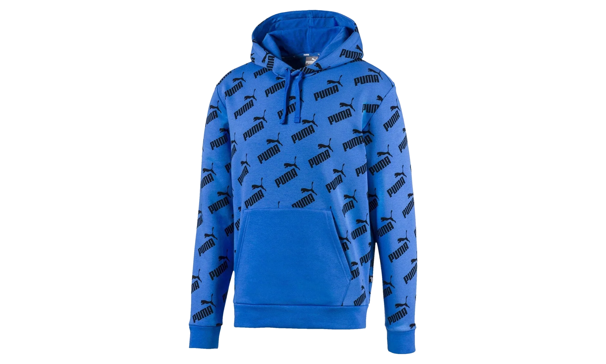 Amplified Fleece Hoodie "Palace Blue" 597247 41