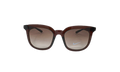 Myriad Sunglasses "Eldorado / Brown Gradient" EV1153 222