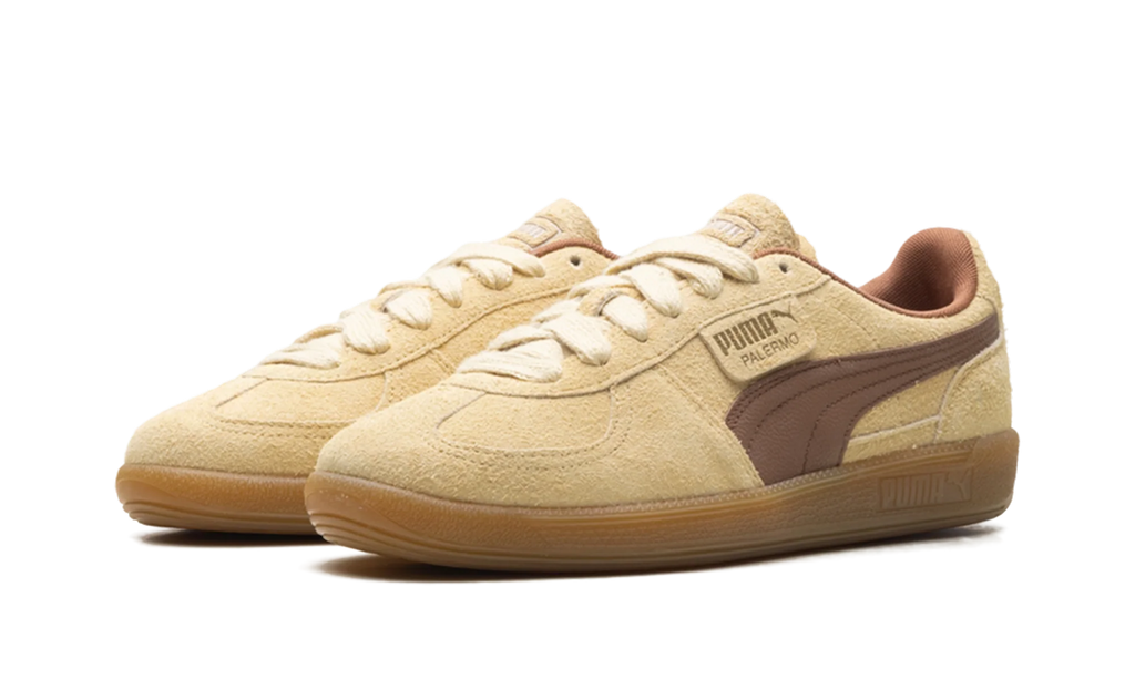 Palermo OG "Chamomile Brown Mushroom" 397251 01