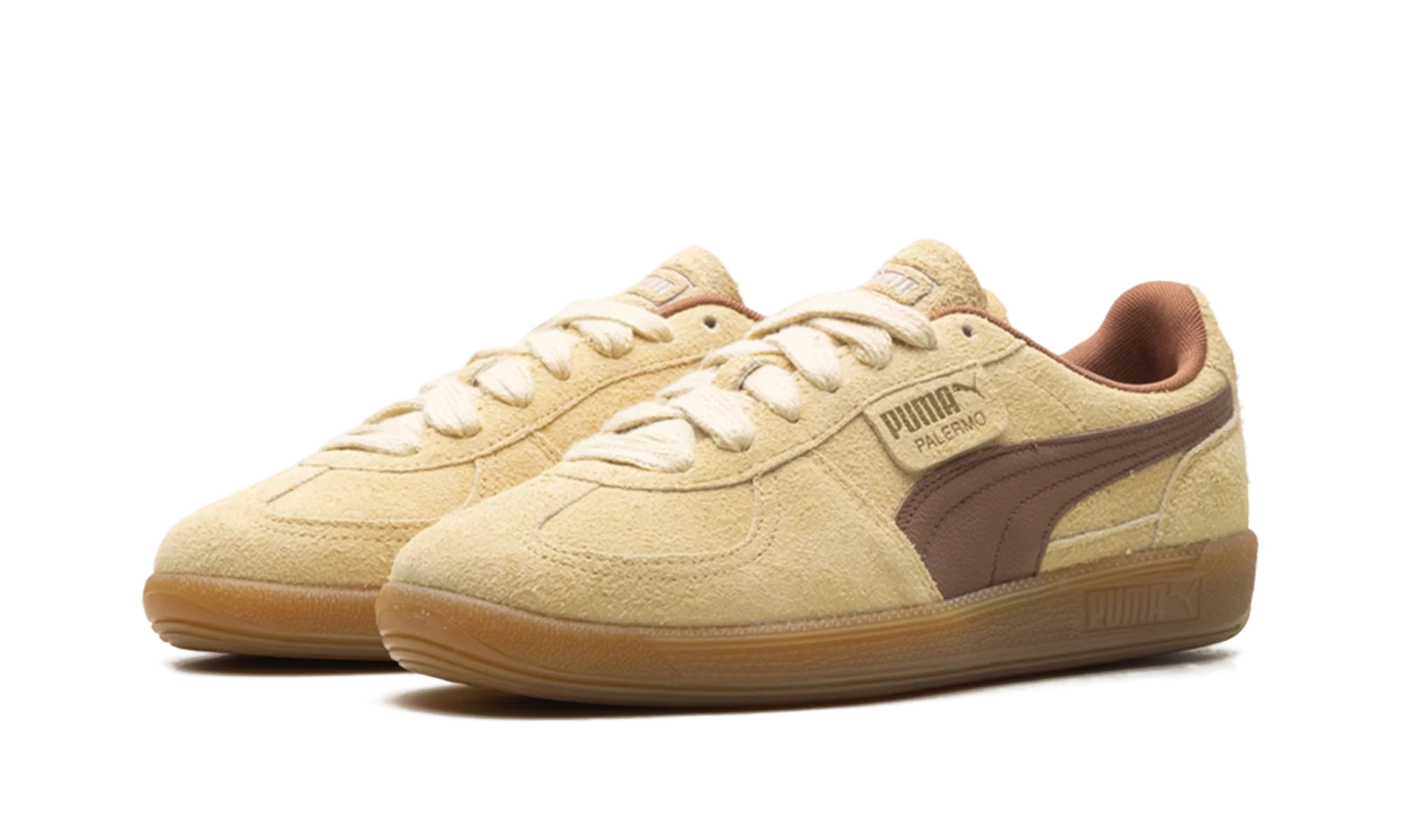 Palermo OG "Chamomile Brown Mushroom" 397251 01