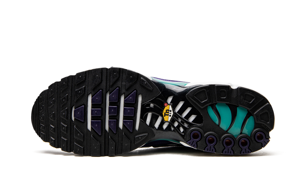 Air Max Plus "Grape" DM0032 100