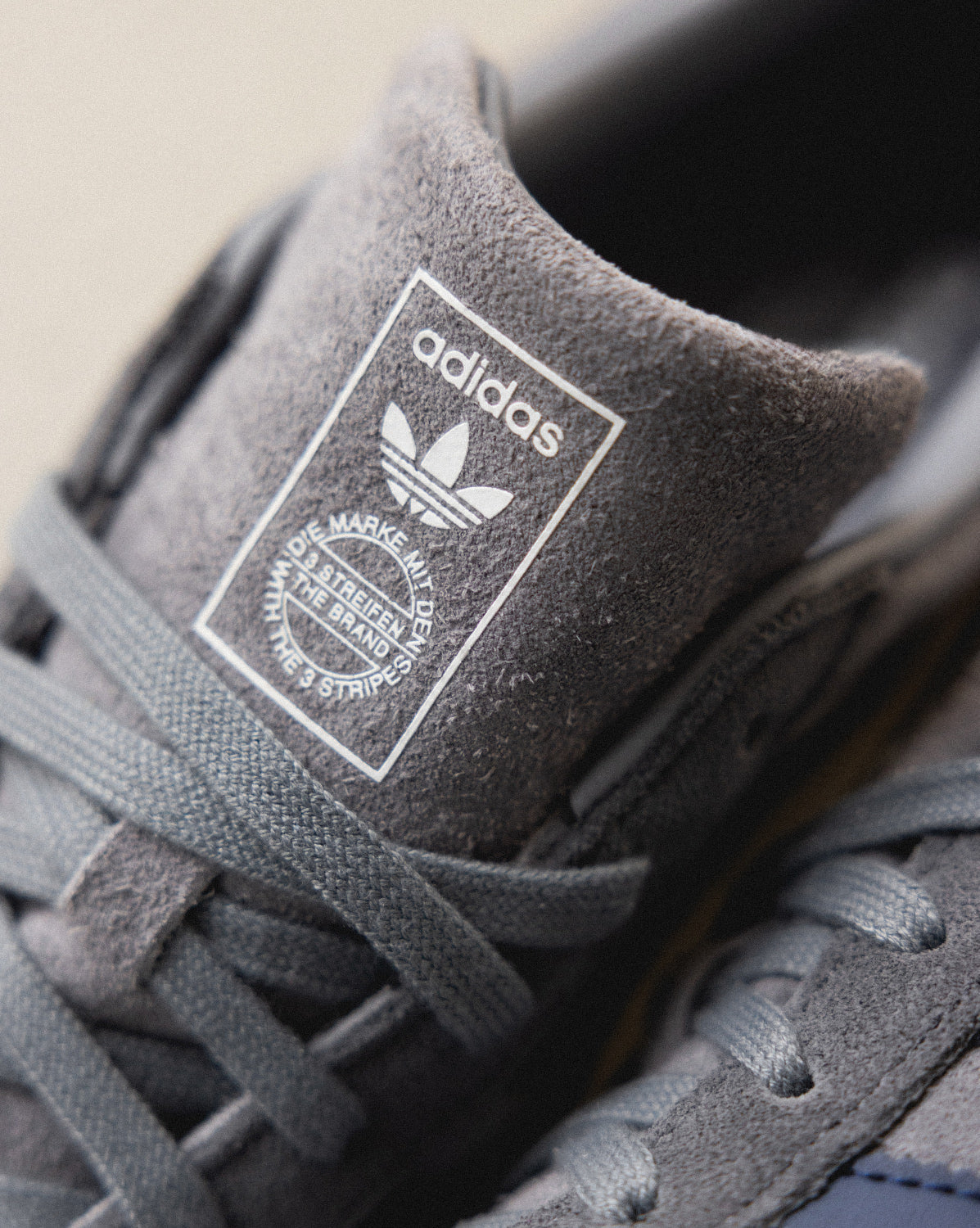 Gazelle Indoor