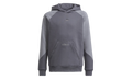 SPRT Collection Hoodie GS "Grey Five / Grey Three" H31213