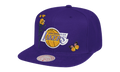 NBA Los Angeles Lakers HWC State Snapback Hat "Flower - Purple" 6HSSSH20057 LALPURP