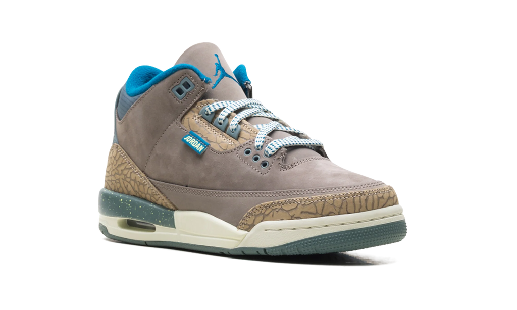 Air Jordan 3 GS "We Outside" IB7066 001