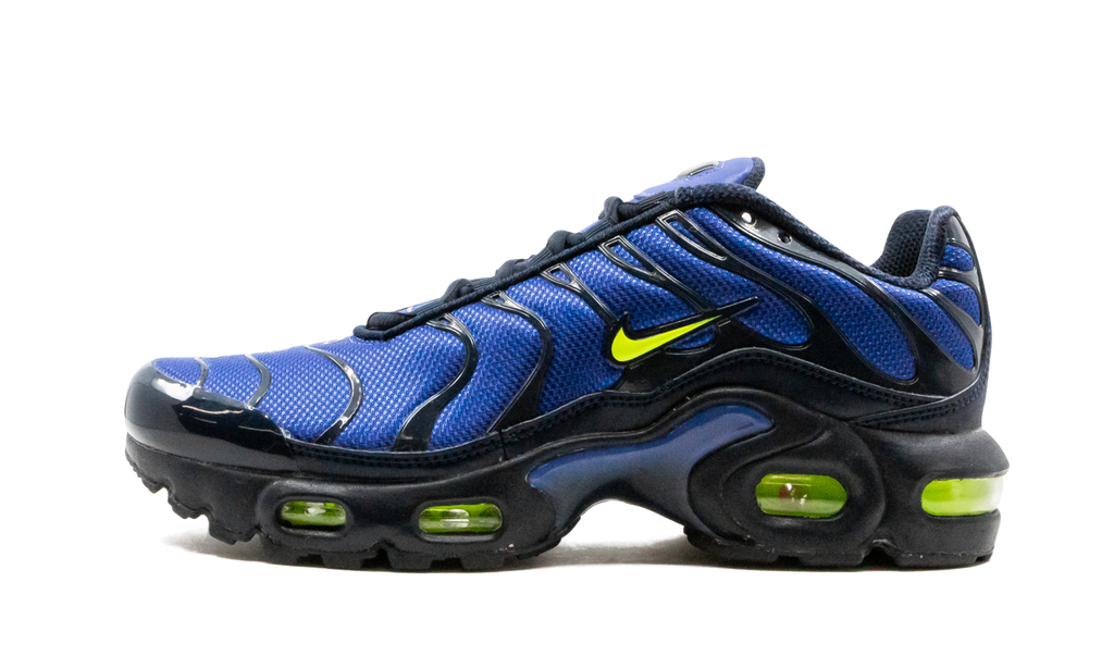 Air Max Plus (GS) CD0609 401