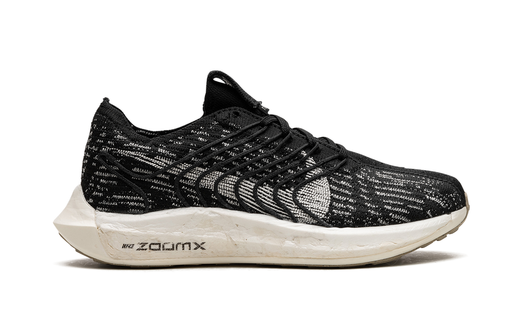 PEGASUS TURBO NEXT NATURE WMNS"Black Sail" DM3414 001