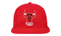 NBA Hardwood Classics Team Ground 2.0 Fitted Cap "Chicago Bulls - Red" HHSF3259 CBUYYPPPRED1