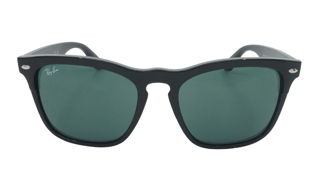 Steve Sunglasses "Black" RB4487-662971_54