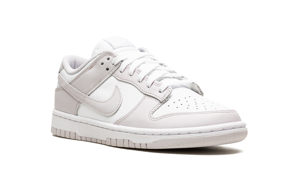 DUNK LO MNS WMNS"Venice" DD1503 116