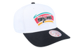 NBA Team 2 Tone 2.0 Pro "Spurs" HHSS5131-SASYYPPPWHIT_OS