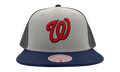 MLB Triple Play Cooperstown "Nationals" HY11518-WNAGREY_OS
