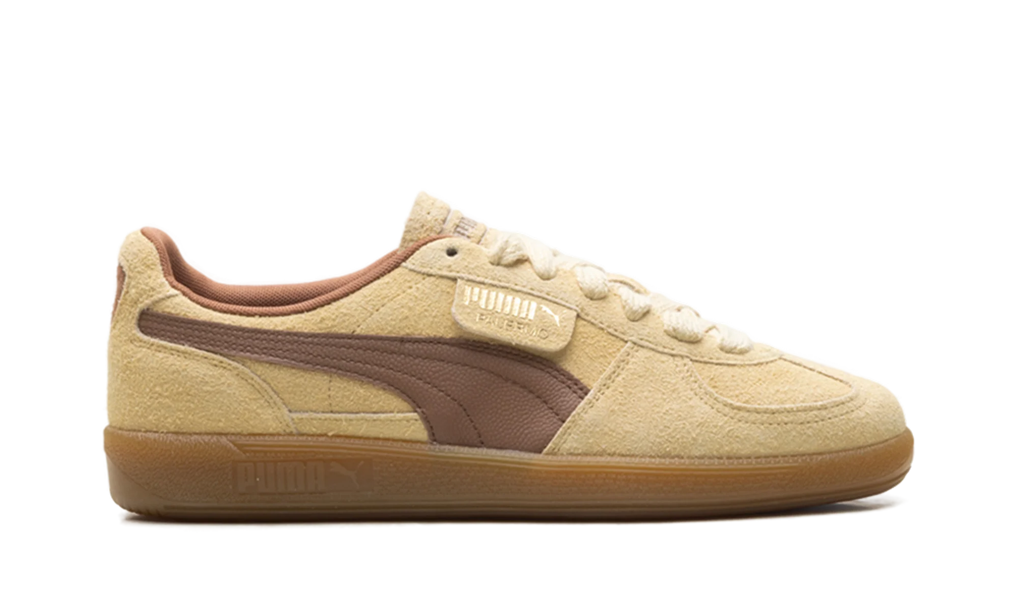 Palermo OG "Chamomile Brown Mushroom" 397251 01