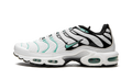 Air Max Plus "Atmos" 604133 148