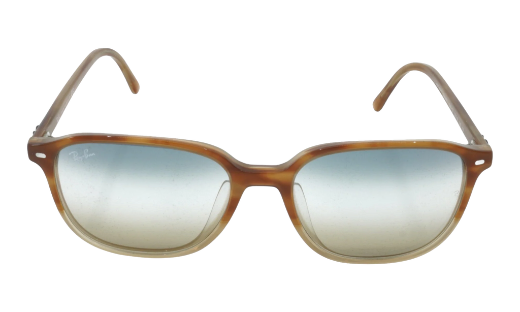 LEONARD SUNGLASSES "GRADIENT LIGHT BROWN" RB2193F-1328-GD_55