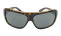 BLAIR SUNGLASSES "HAVANA ON TRANSPARENT BROWN" RB2196-1292B1_64