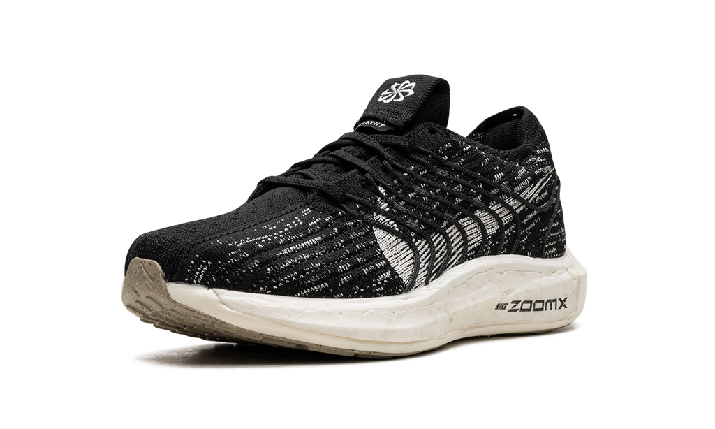 PEGASUS TURBO NEXT NATURE WMNS"Black Sail" DM3414 001