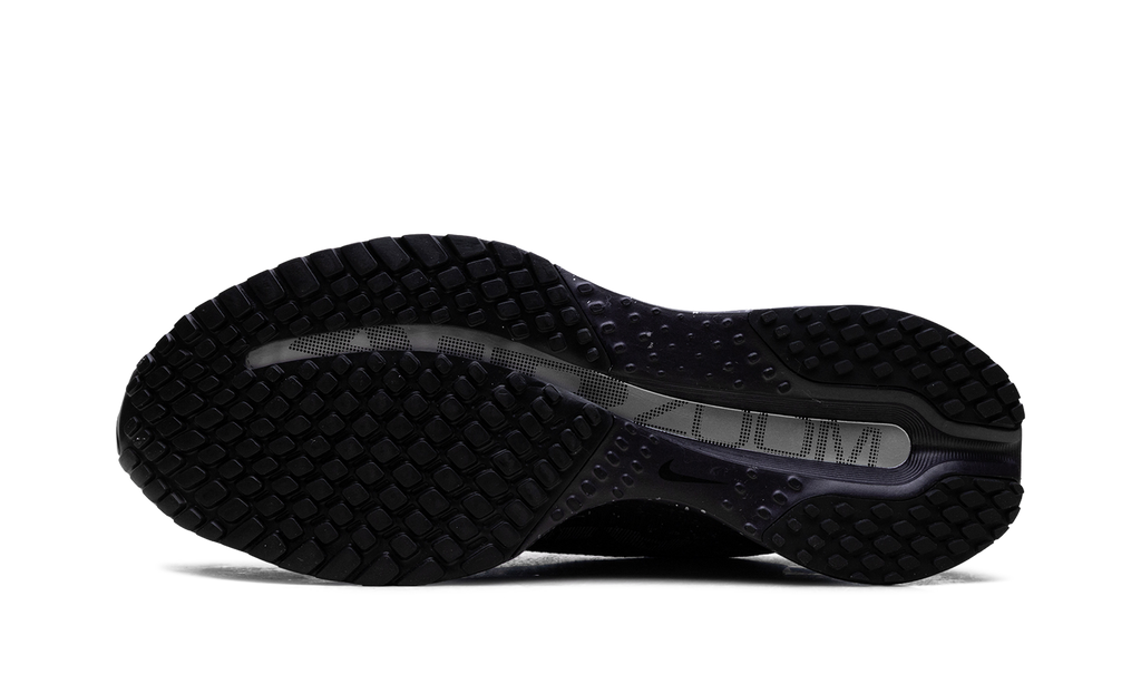 Pegasus Premium SE WMNS"Cave Purple" IH0861 500