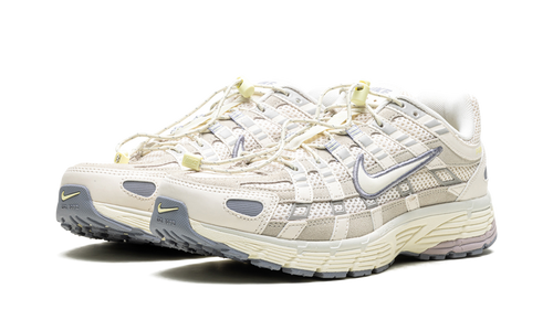 P-6000 WMNS"Light Bone" HJ7284 072