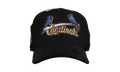 59FIFTY St Louis Cardinals 2005 World Series Fitted Hat "Black - Corduroy Visor" NE382