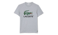 Cotton Jersey Signature Print T-Shirt "Grey Chine" TH1285 CCA