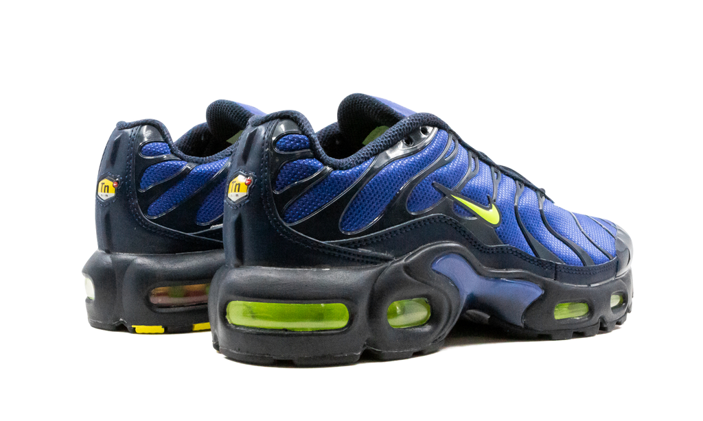 Air Max Plus (GS) CD0609 401