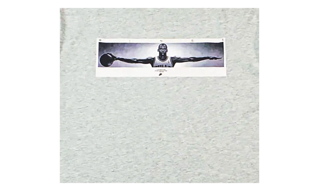 Air Jordan Wingspan Photo T-Shirt "Grey" IF5617 050