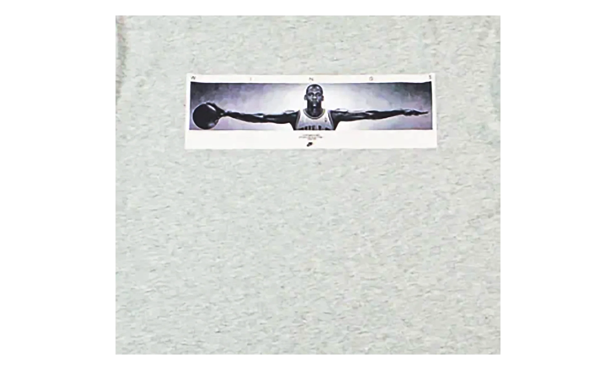 Air Jordan Wingspan Photo T-Shirt "Grey" IF5617 050