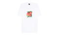 Berries Tee "WHITE" 1905108 WHIT