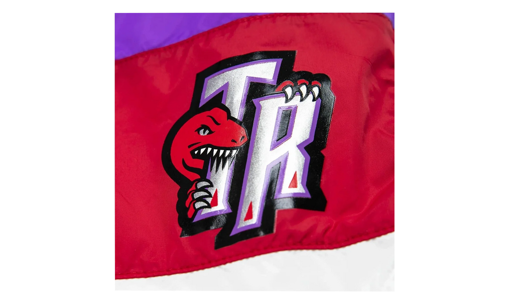 NBA Striped Short "Toronto Raptors - Purple" SHORBW19051 TRAPTPR