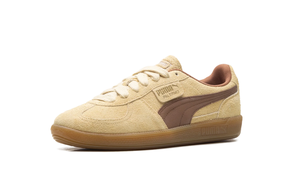 Palermo OG "Chamomile Brown Mushroom" 397251 01