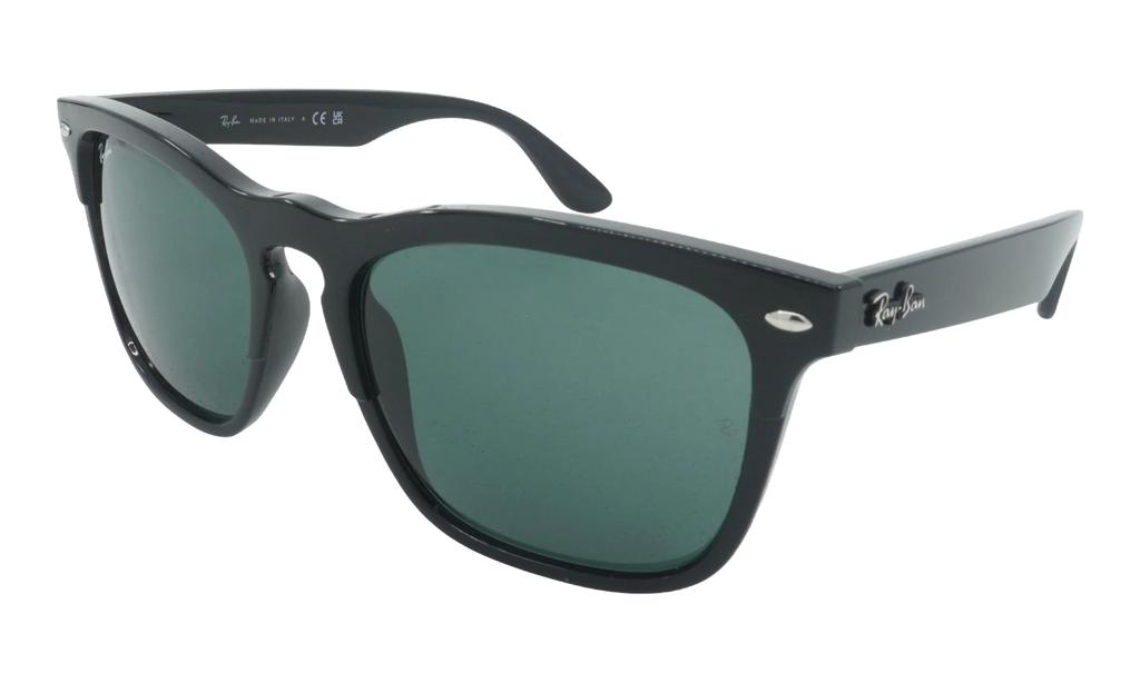 Steve Sunglasses "Black" RB4487-662971_54