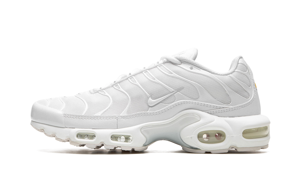 AIR MAX PLUS WMNS"Pure Platinum" DM2362 100