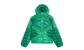 Sportswear Tech Pack Therma-FIT ADV Hooded Jacket "Stadium Green / Malachite" FB7423 324