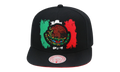 Branded Eagle Snapback Cap "Mexican Flag - Black" 6HSSTD17413 MNNBLCK