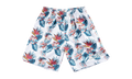 NBA Floral Mesh Shorts "Boston Celtics - White" SHORMG18023 BCEPTWH1