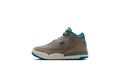 Air Jordan 3 PS "We Outside" IB7064 001