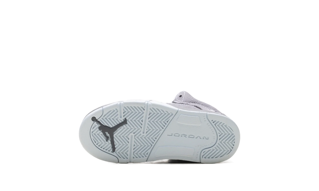 Air Jordan 5 TD "Wolf Grey (2026)" 440890 002