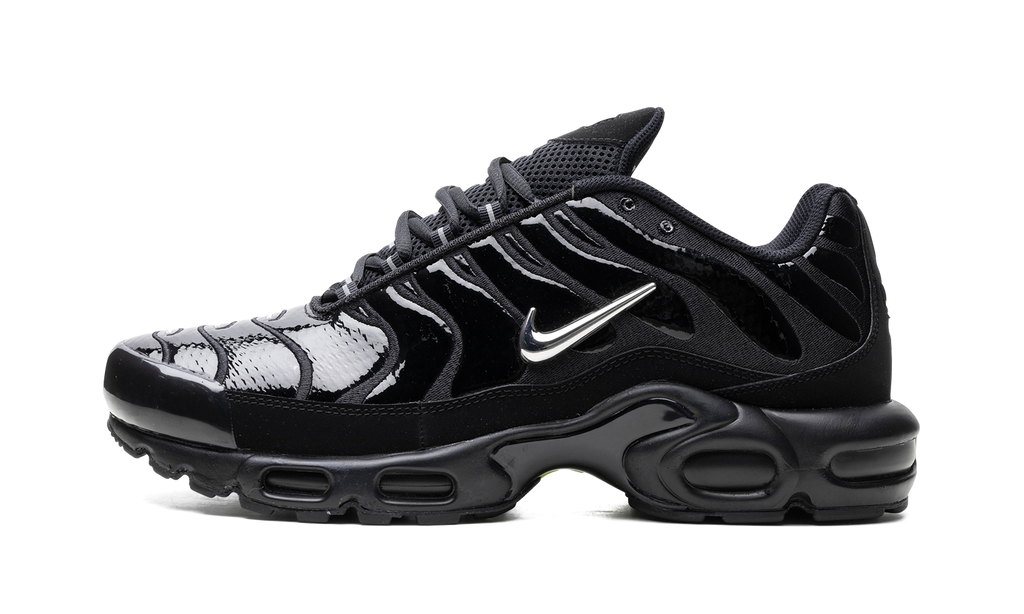 Air Max Plus "Metallic Black" FJ2591 001
