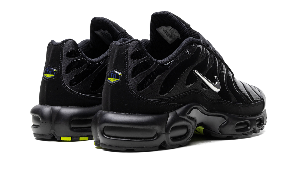 Air Max Plus "Metallic Black" FJ2591 001