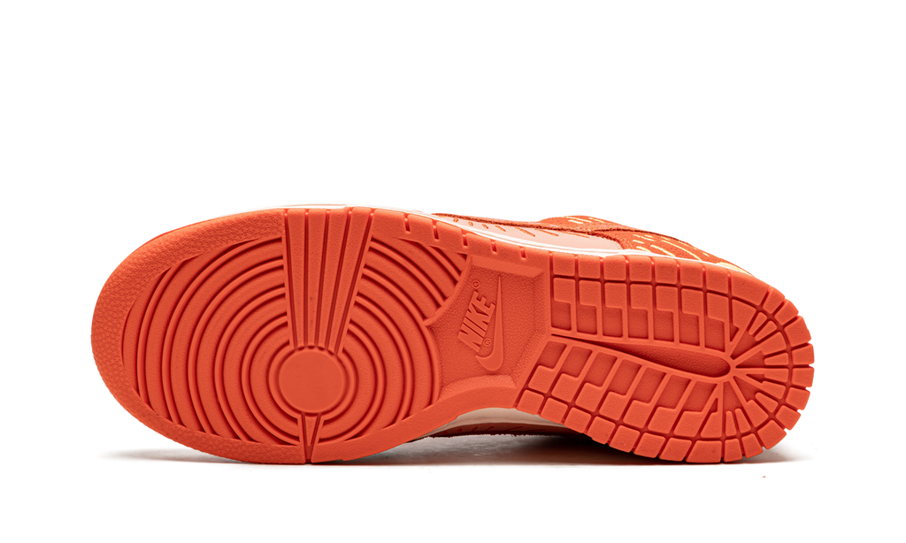 DUNK LO NH MNS WMNS"Winter Solstice" DO6723 800