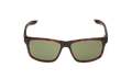 Essential Chaser Sunglasses "Tortoise / Black / Green" EV0999 203